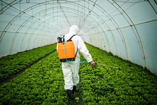 Best Affordable Pest Control Services  in Blacklick Estates, OH