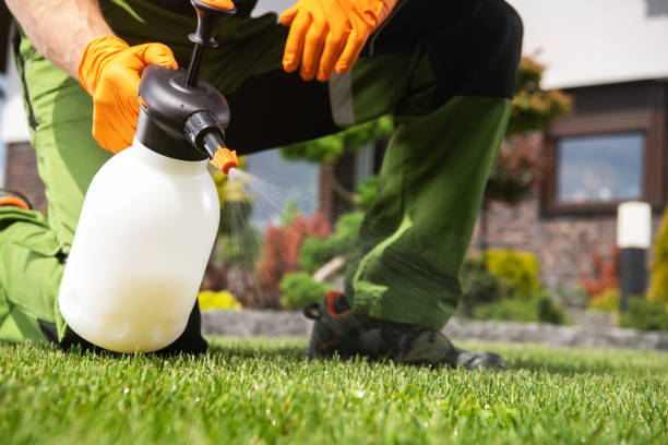 Best Termite Control Services  in Blacklick Estates, OH