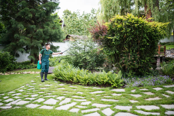 Best Mosquito Control Services  in Blacklick Estates, OH