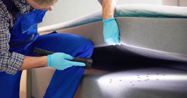 Best Bed Bug Extermination  in Blacklick Estates, OH