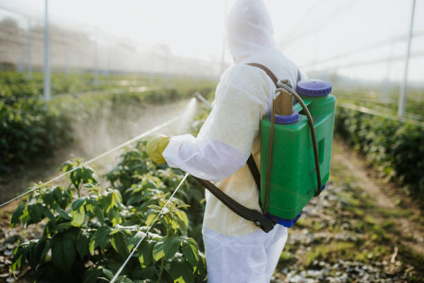 Best Ant Control Services  in Blacklick Estates, OH